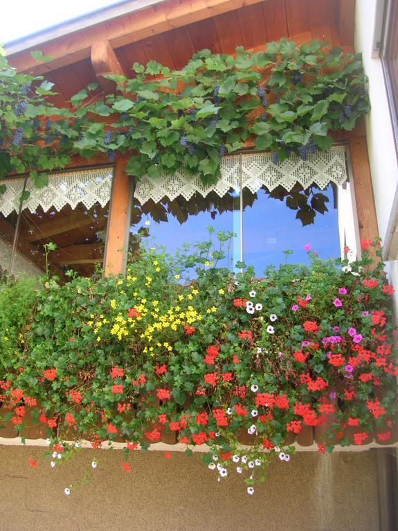 Ferienbauernhof Liebschick Villa Egg Luaran gambar