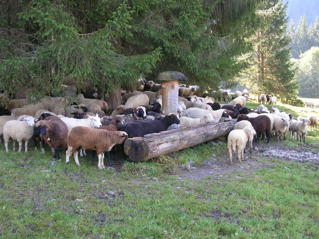Ferienbauernhof Liebschick Villa Egg Luaran gambar